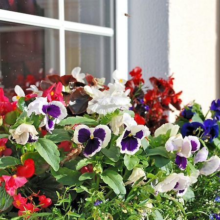 エニスコーシー Lemongrove House Bed & Breakfast エクステリア 写真